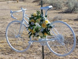Ghost Bike for Dr. Brett Sacks Ghost Bike for Dr. Brett Sacks