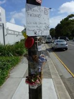 from: http://picasaweb.google.com/crapulon/GhostBikeKonrad?feat=embedwebsite#5553269708343295202