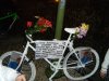 from: http://www.facebook.com/photo.php?pid=3604380&l=a122dc1430&id=624003515